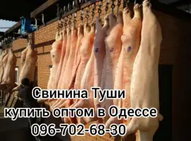 Зображення для оголошення Туши свинины цена