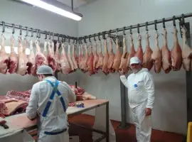Зображення для оголошення Свинина оптом цена