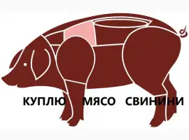 Зображення для оголошення Куплю свинину (1 сорт