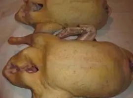 Зображення для оголошення Продам мясо. Индейка