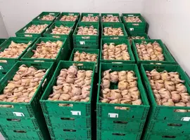 Зображення для оголошення Тушка курчати тапака