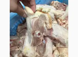 Зображення для оголошення Куплю спинку курячу