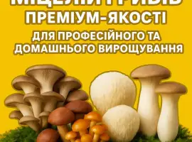 Зображення для оголошення Міцелій