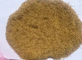 Зображення для оголошення Продам семена люцерны неомагниченная