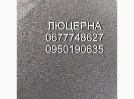 Зображення для оголошення Люцерна Надєжда