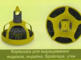 Зображення для оголошення Линия кормления Италия