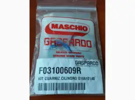 F03100609 Ремкомплект гидроцилиндра маркера ГАСПАРДО (03100609 Gaspardo)