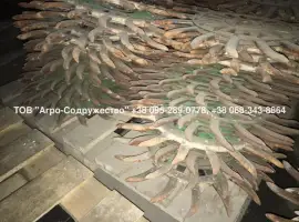 Зображення для оголошення Колеса (Ежи) на Борону ротационную Джон Дир John Deere 400 оригинал