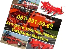 Зображення для оголошення Лезвие R17820661 (17820661) сменное "ДОЛОТО" для Gaspardo ARTIGLIO