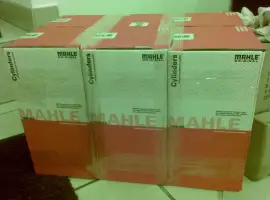Зображення для оголошення Поршнева група MAHLE на MAN