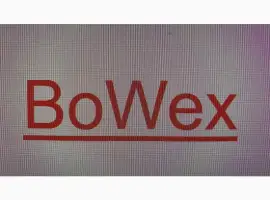 Зображення для оголошення Муфта Bowex 48B FLE-PA
