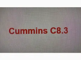 Зображення для оголошення Запчастини двигуна Cummins C8.3
