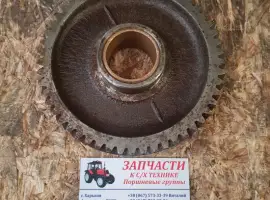 Зображення для оголошення Шестерня МТЗ распредвала паразитка(промежуточная) 240-100624