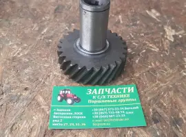 Зображення для оголошення Шестерня привода НШ-10 Д65-1022041-А ЮМЗ