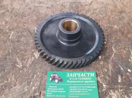 Зображення для оголошення Шестерня распредвала Д37М-1006240-А8 (Д-144, Д-21) паразитная