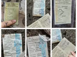 Зображення для оголошення Запчастини мтз вся лінійка мтз