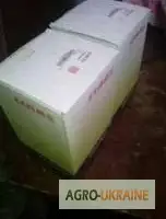 0000687090 Фильтр топливный