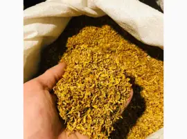 Зображення для оголошення Гільзи