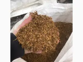 Зображення для оголошення ЛАПША ГРН. Надоели палки пыль и мусор