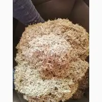 Зображення для оголошення Куплю Всі сорти тютюну