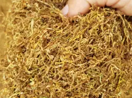 Зображення для оголошення Продам разные сорта табака! ТАБАК! ОПТ / РОЗНИЦА