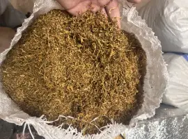 Зображення для оголошення Є на продаж опт багато видів табака очищеного та без вологості