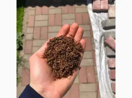Зображення для оголошення Махорка / Хлопья / Берлі / Вірджинія / Голд / Руно