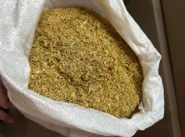 Зображення для оголошення Табак на Опт та розницу много видов