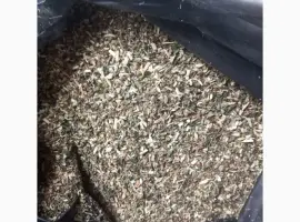 Зображення для оголошення Куплю Махорку оптом від мішка