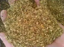 Зображення для оголошення Куплю Махорку зелену