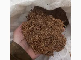 Зображення для оголошення Куплю табак різаний лапшою