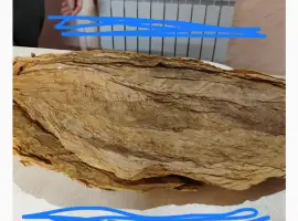 Зображення для оголошення Табачный лист - сухий