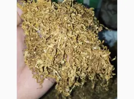 Зображення для оголошення Хароший табак сільський український самосад