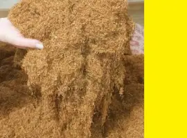 Зображення для оголошення Домашній такий як треба Тютюнець куриться бодро ферментований ! Мілєніум Берлі Вірджінія