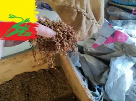 Зображення для оголошення Табак ВІРДЖІНІЯ