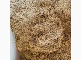 Зображення для оголошення Куриво курятіна і тютюн берлі вірджінія не дорого домашній