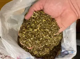Зображення для оголошення Продам махорку