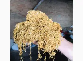 Зображення для оголошення Продам табак импортный Вирджиния Голд
