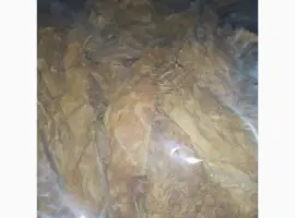 Зображення для оголошення Продам табак