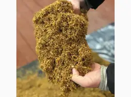 Зображення для оголошення Табак лёгкий Золотое Руно ( Болгария )