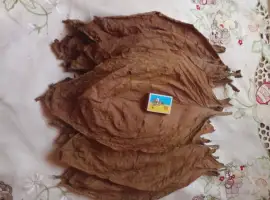 Зображення для оголошення Продам тютюн хлопя