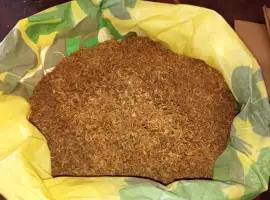 Для самокруток тютюн самосад Берлі