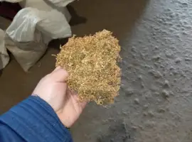 Тютюн сам продам Берлі