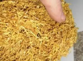Є хароший домашній тютюнець Берлі