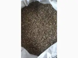 Зображення для оголошення Продам махорку самосад вища якість