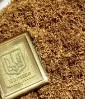 Зображення для оголошення Ферментований тютюн