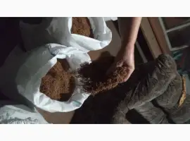 Зображення для оголошення Продам тютюн Берлей