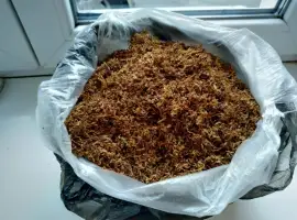 Зображення для оголошення Табаки раные