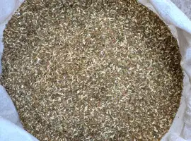Зображення для оголошення Продам самосад
