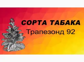 Зображення для оголошення Продам табак Трапезонд 92 - 150 грн/упаковка